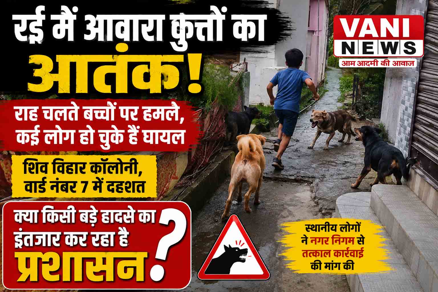 रई में आवारा कुत्तों का आतंक, राह चलते बच्चों पर हमले से दहशत
