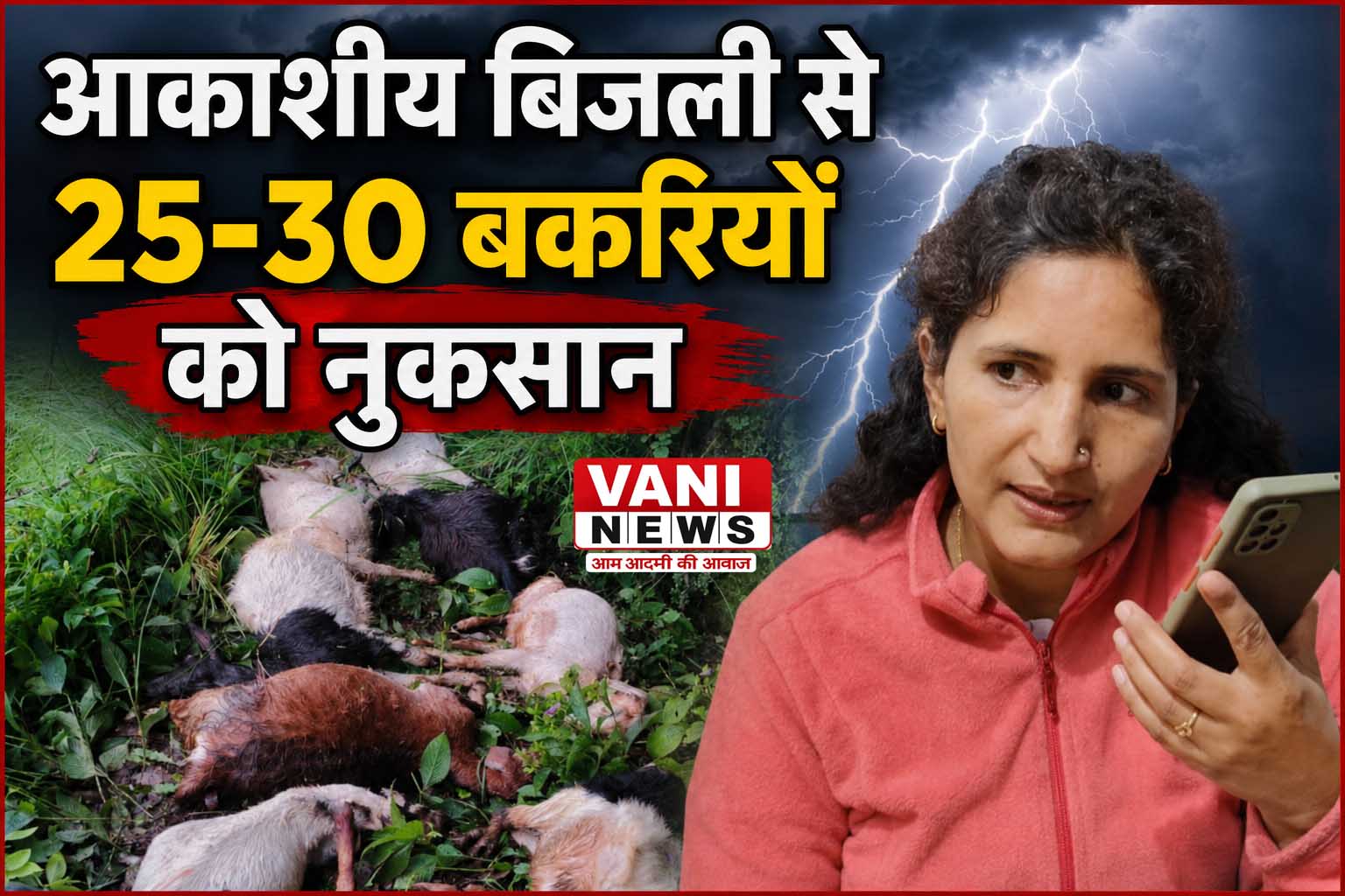 आकाशीय बिजली की चपेट में आईं  25-30 बकरियां, पशुपालक को भारी नुकसान