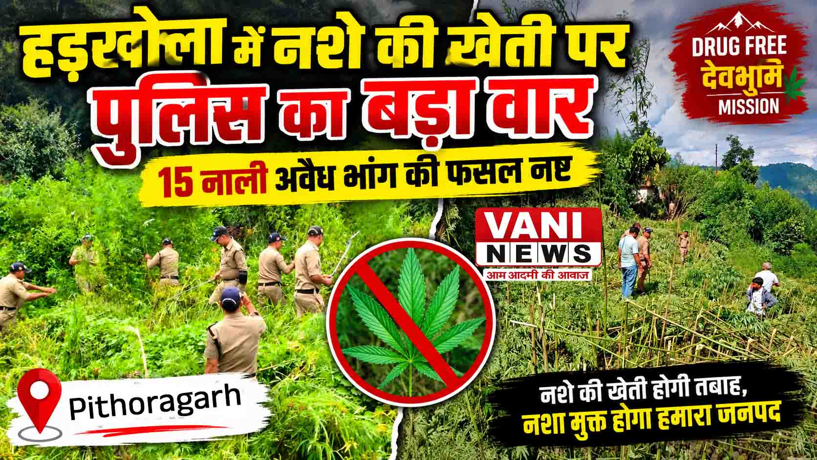 हड़खोला और सतगढ़ में नशे की खेती पर पुलिस का बड़ा वार, 15 नाली अवैध भांग की फसल नष्ट
