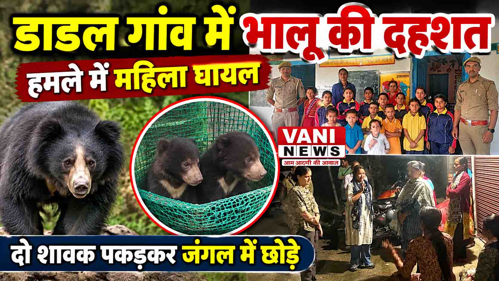 डाडल गांव में भालू की दस्तक, हमले में महिला घायल