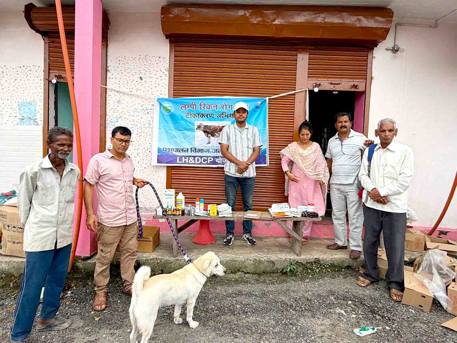 ग्राम डांगटी में लगा पशु चिकित्सा शिविर, 40 पशुओं का हुआ उपचार व दवा वितरण