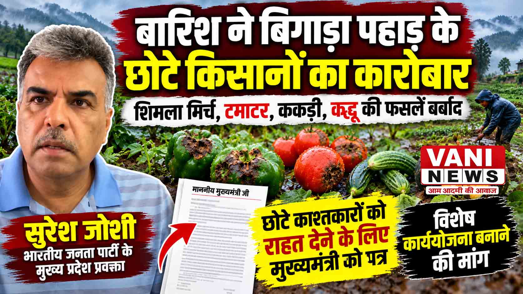 बारिश ने बिगाड़ा पहाड़ के छोटे किसानों का कारोबार, शिमला मिर्च-टमाटर-ककड़ी-कद्दू की फसलें प्रभावित