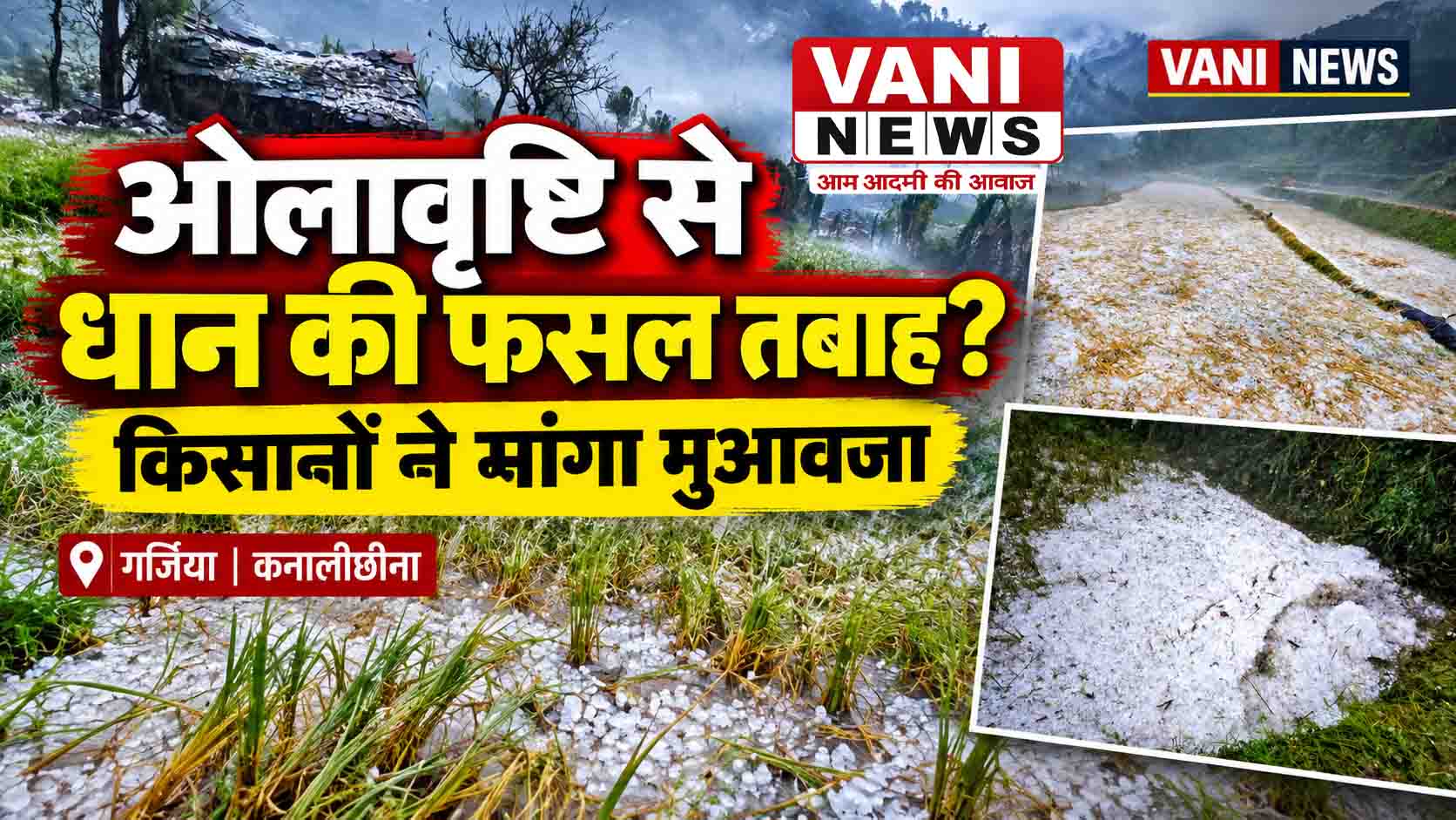 किसानों की मेहनत पर ओलों की मार, पहाड़ में खेती पर गहराया संकट