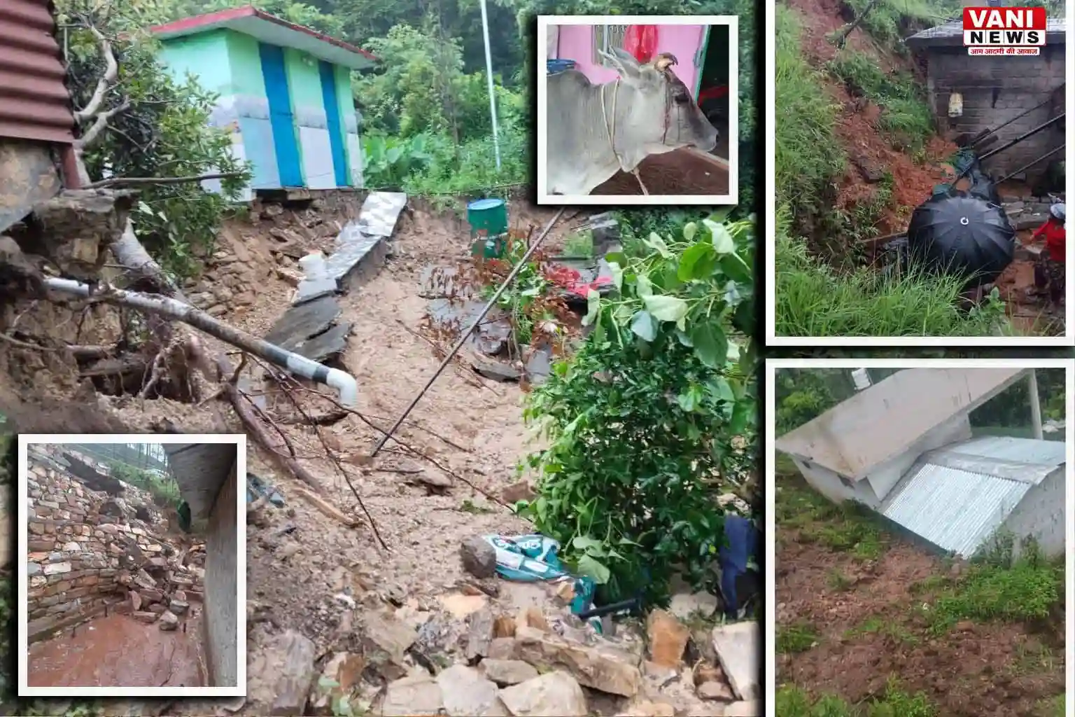 मूसलाधार बारिश से थल क्षेत्र में तबाही, मकानों और गौशालाओं को भारी नुकसान