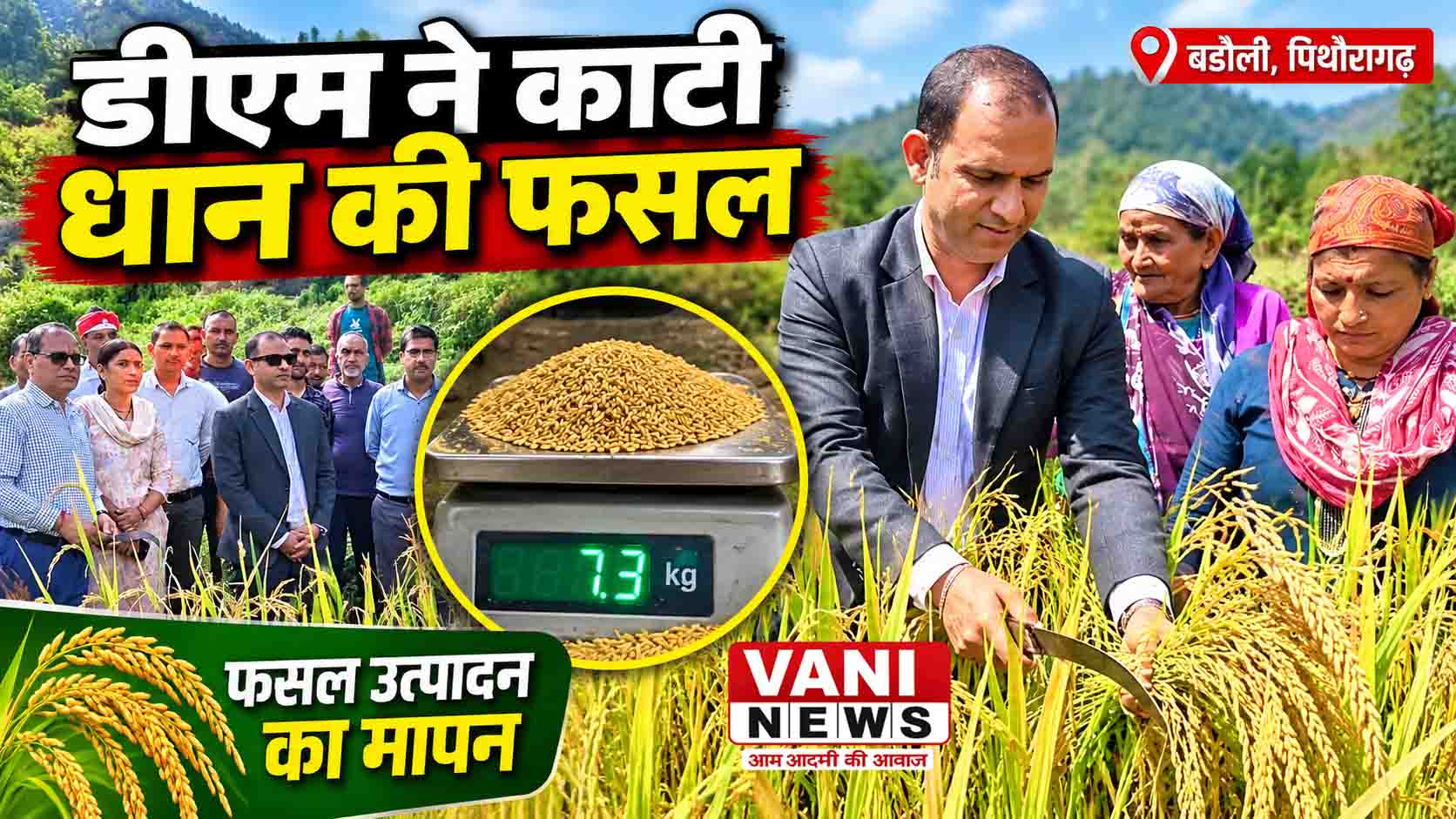 ग्राम बडौली में डीएम आशीष भटगांई ने कराई धान की क्रॉप कटिंग