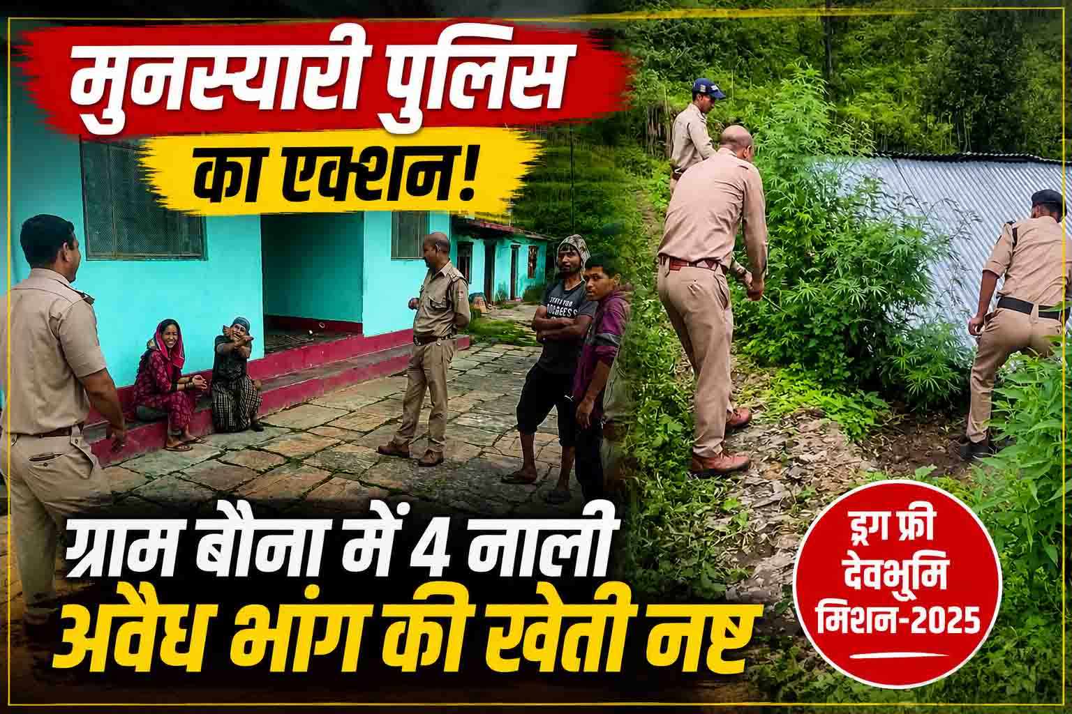 सीएम हेल्पलाइन की शिकायत पर मुनस्यारी पुलिस का एक्शन, ग्राम बौना में 4 नाली अवैध भांग की खेती नष्ट