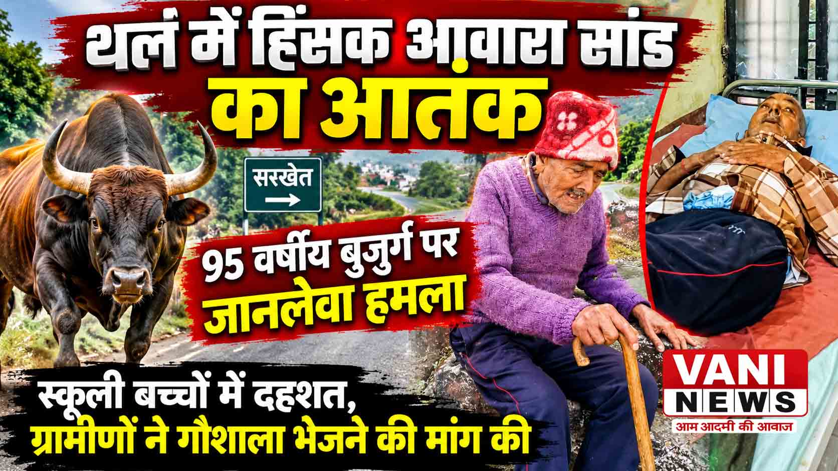 थल में हिंसक आवारा सांड का आतंक, 95 वर्षीय बुजुर्ग पर जानलेवा हमला