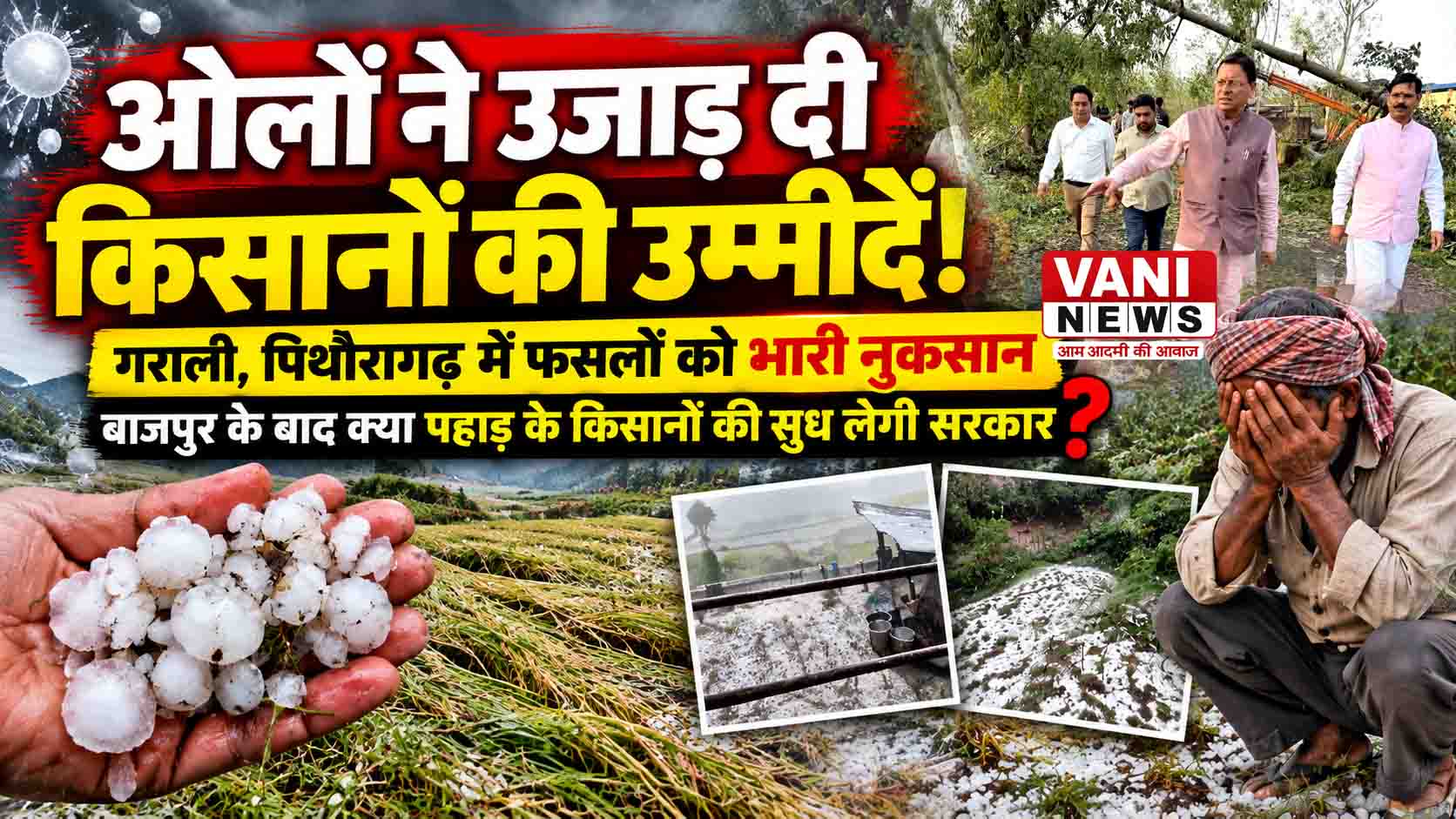 ओलावृष्टि ने तोड़ी किसानों की कमर, मदद की आस में टकटकी लगाए पहाड़ के किसान